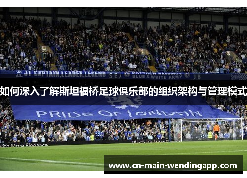 如何深入了解斯坦福桥足球俱乐部的组织架构与管理模式