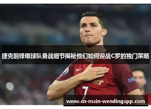 捷克前锋曝球队备战细节揭秘他们如何迎战C罗的独门策略