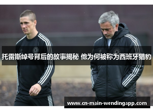 托雷斯绰号背后的故事揭秘 他为何被称为西班牙猎豹 托雷斯绰号背后的故事揭秘 他为何被称为西班牙猎豹