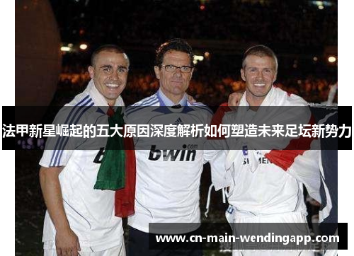 法甲新星崛起的五大原因深度解析如何塑造未来足坛新势力