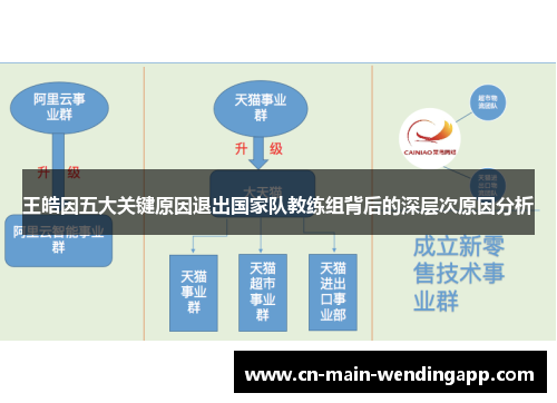 王皓因五大关键原因退出国家队教练组背后的深层次原因分析 王皓因五大关键原因退出国家队教练组背后的深层次原因分析