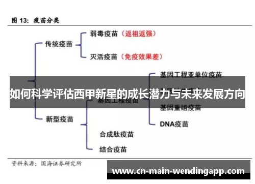 如何科学评估西甲新星的成长潜力与未来发展方向