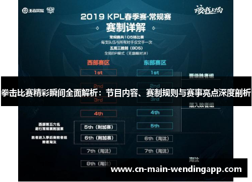 拳击比赛精彩瞬间全面解析：节目内容、赛制规则与赛事亮点深度剖析