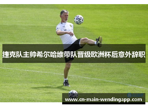 捷克队主帅希尔哈维带队晋级欧洲杯后意外辞职