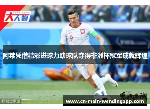 阿莱凭借精彩进球力助球队夺得非洲杯冠军成就辉煌