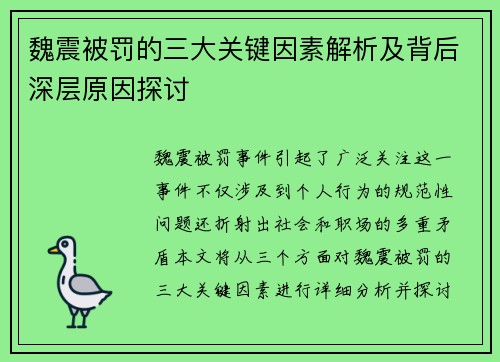魏震被罚的三大关键因素解析及背后深层原因探讨